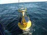 Buoy CS201
